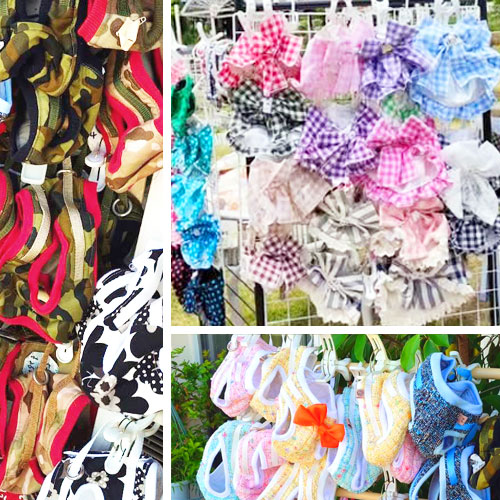 shop_005_kirara_2025